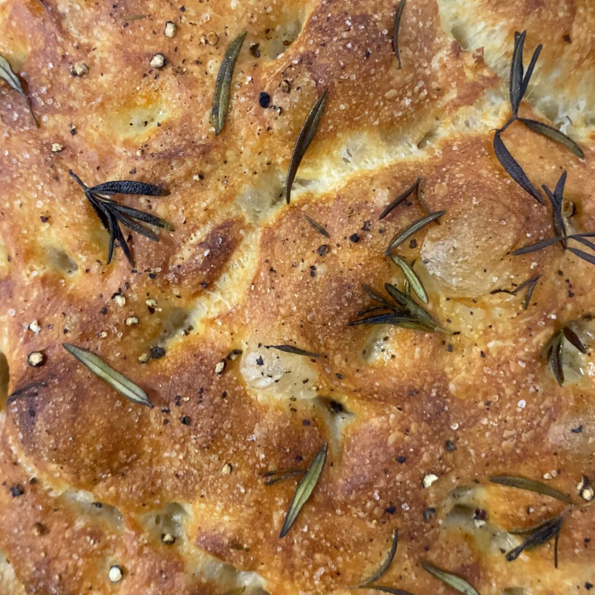 Focaccia Bread!