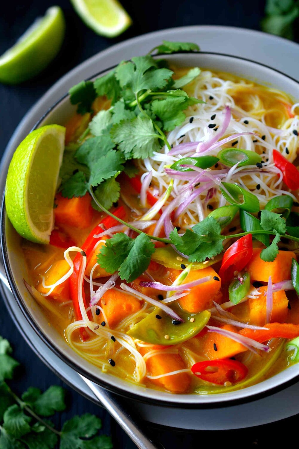 Vegan Thai Tofu Coconut Soup
