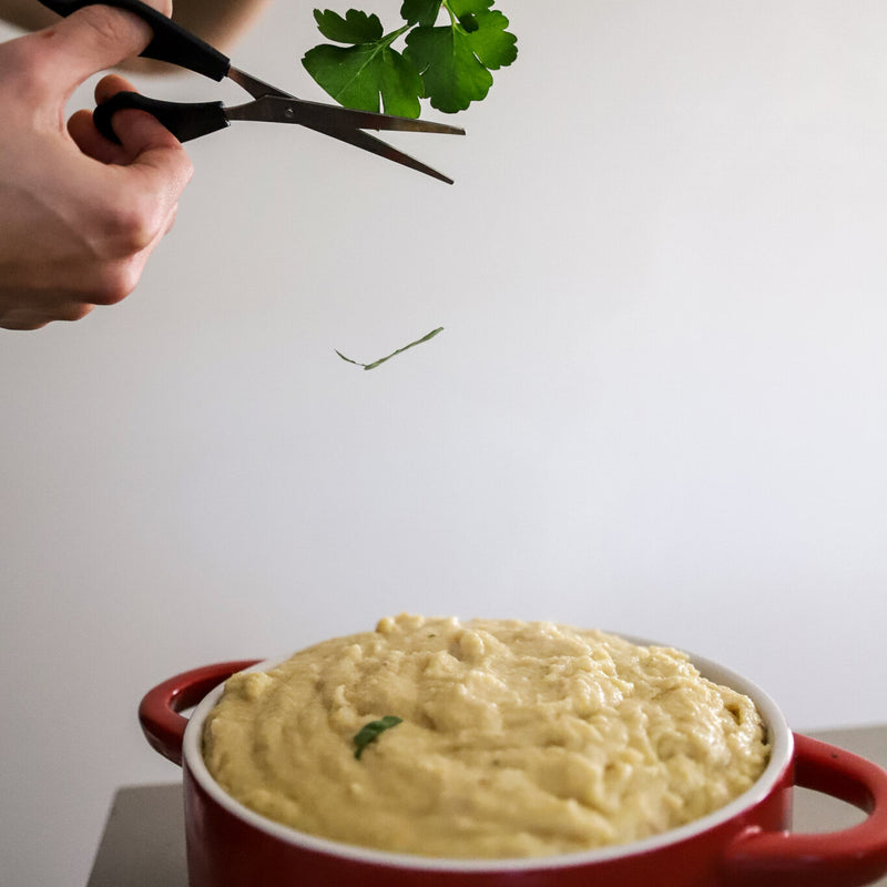 pre-made fresh vegan meals for the family